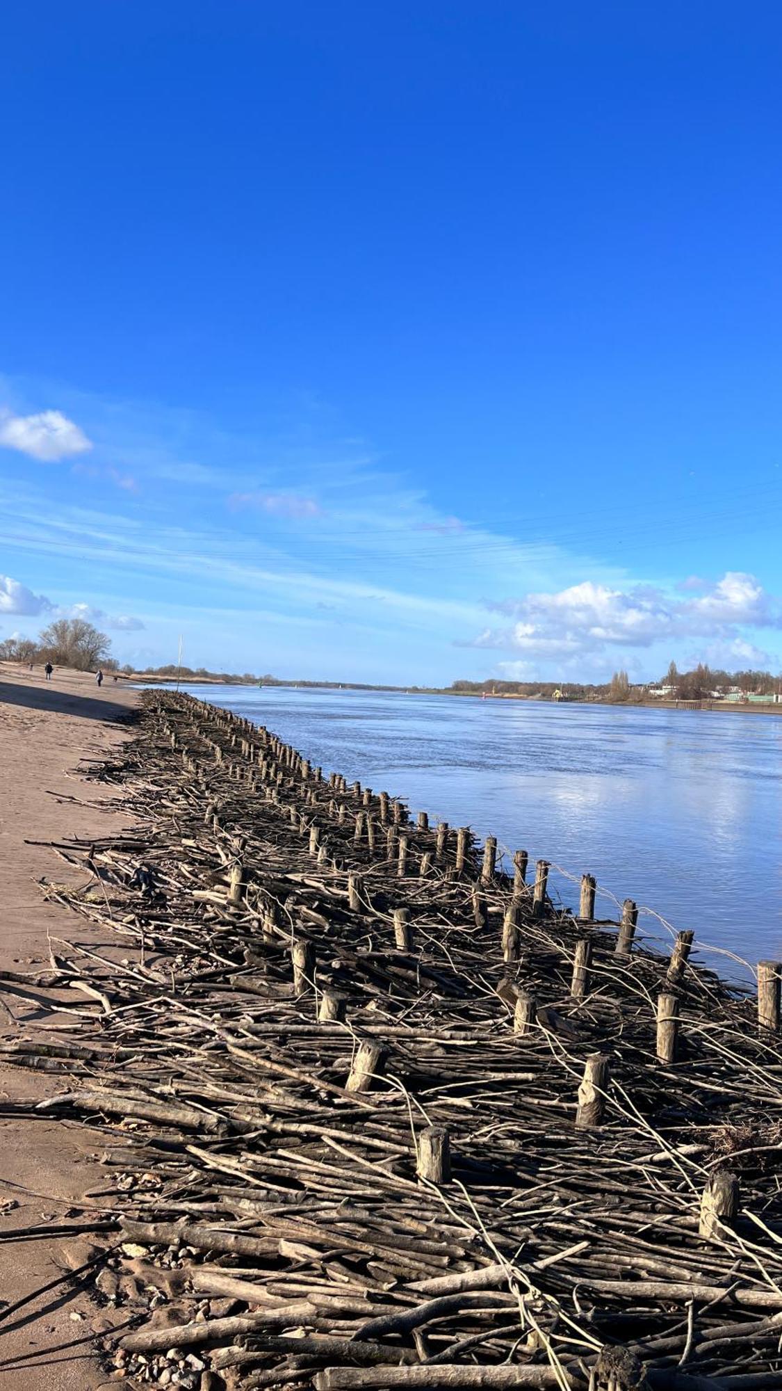 Gaestehaus Weserblick Am Weser-Sandstrand ベルネ エクステリア 写真