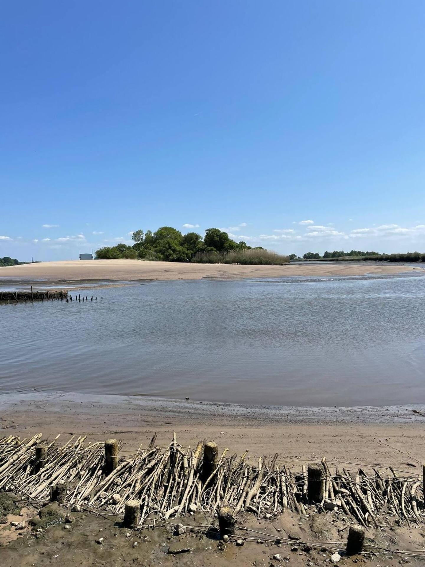 Gaestehaus Weserblick Am Weser-Sandstrand ベルネ エクステリア 写真