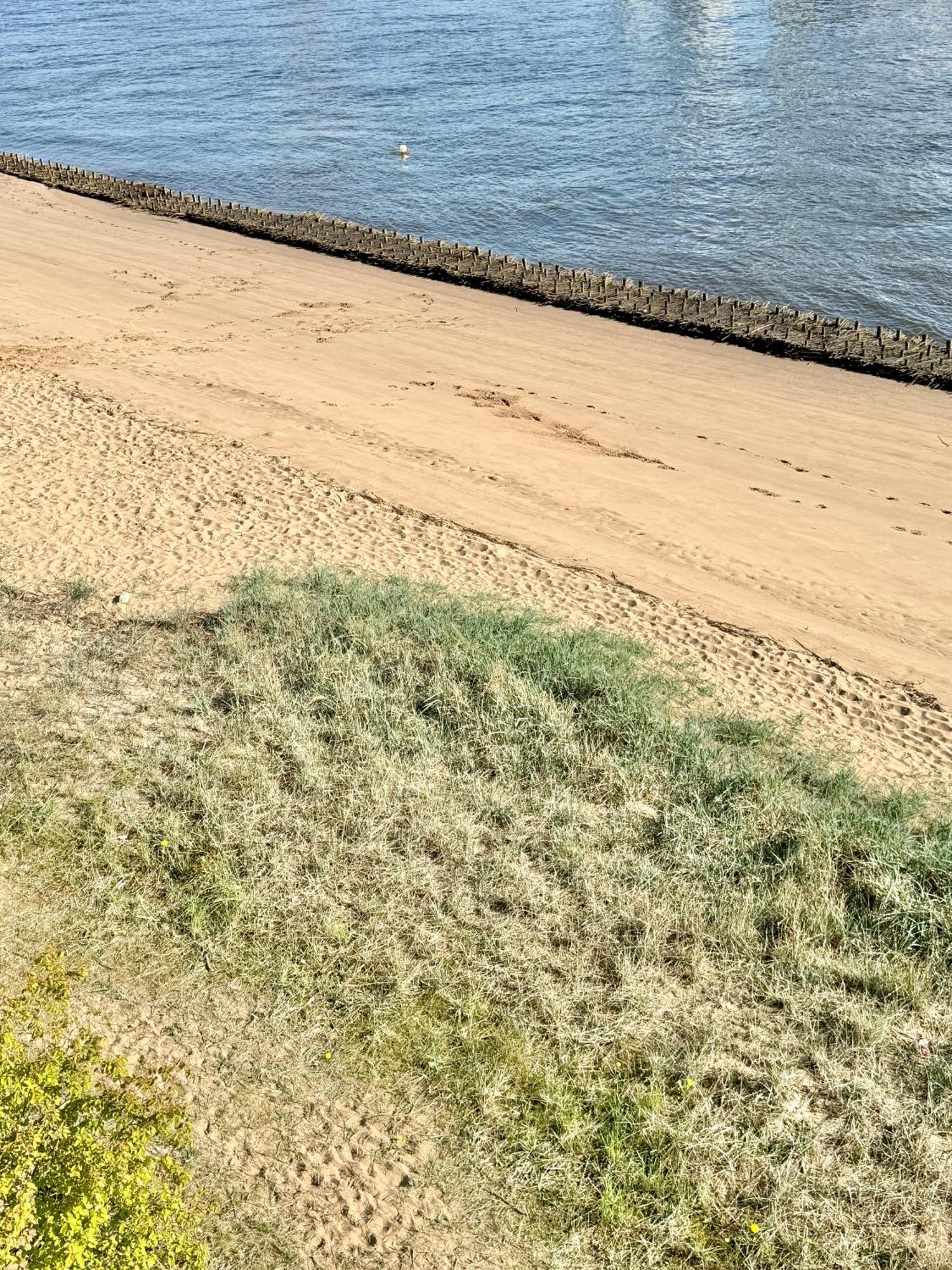 Gaestehaus Weserblick Am Weser-Sandstrand ベルネ エクステリア 写真